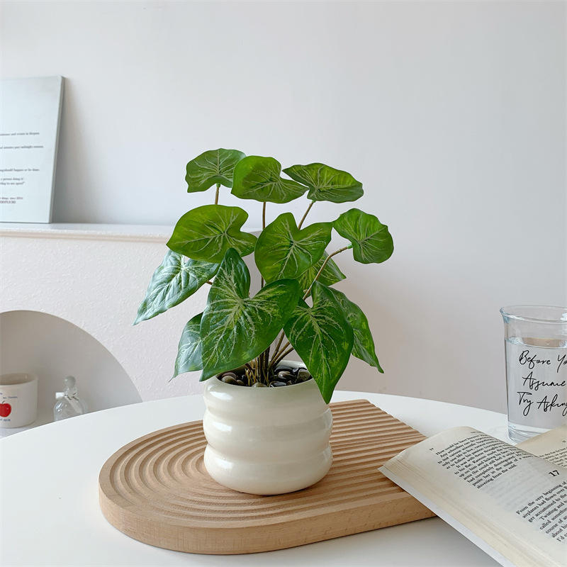 ดอกคาลล่าลิลลี่ + ขวดทรงกลม