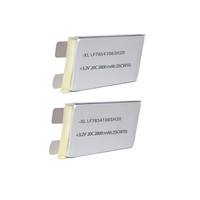 Batterie LiFePO4 haute capacité 3.2V 2800mAh 20C-pour outils électriques éclairage de secours systèmes solaires-cellule à long cycle de vie 7854106