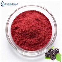 Puur gevriesdroogd zwart frambozenpoeder zonder maltodextrine, clean label, FD zwart frambozen fruitpoeder voor dranken en bakken