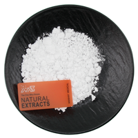 Ingrédients cosmétiques de haute qualité en gros : Poudre de Zinc PCA CAS 15454-75-8 pour les soins cutanés