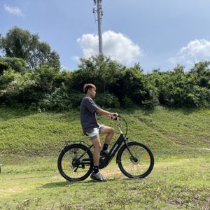 Vélo électrique de ville élégant pour femmes de 26 pouces, moteur sans balais 350W 36V, Shimano 7 vitesses, batterie amovible, parfait pour la conduite urbaine - Product Image 1