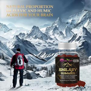Gummies de Shilajit Énergie Cheveux Peau Ongles 60 Comprimés Crinière de <span class=keywords><strong>Lion</strong></span> Racine de Pissenlit Énergie Masculine Soutien Immunitaire Complément Alimentaire Herbal OEM - Product Image 5