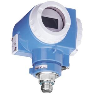 Serie Original Auténtica E+h Digital PMP75 PMP71 - Product Image 1