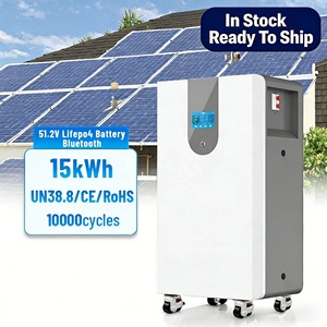 Batería LifePo4 EXLIPORC 51.2V 15KWh 300Ah Powerwall para Almacenamiento en el Hogar, Sistema BMS Integrado, Batería de Respaldo Solar - Product Image 1