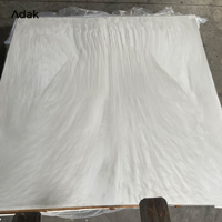 Plaque en acrylique coulé de qualité supérieure pour l'Europe et les États-Unis, feuilles plastiques sanitaires Liangjing pour baignoire avec service de découpe