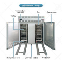 ORME Refroidisseur d'azote liquide industriel pour fruits de mer Congélateur pour viande de poulet Congélateur vertical à vendre