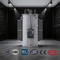 Régulateur de tension monophasé monté sur poteau certifié CE UL CUL, 14,4 KV, 300 KVA, 500 KVA, 1000 KVA