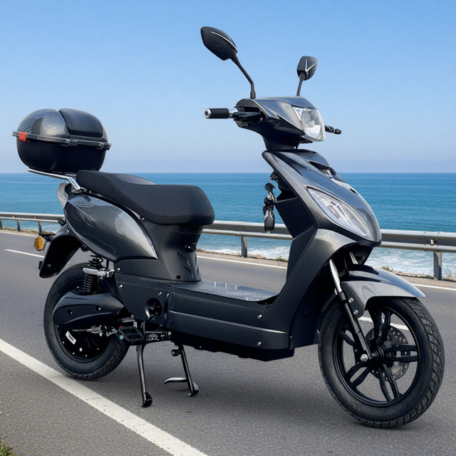 High Quality E-mark EEC 48v 1000w Electric Scooter with Pedals