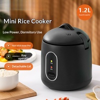 Cuisinière à riz multifonctionnelle en acier inoxydable, mini, avec revêtement antiadhésif, faible consommation d'énergie, commande mécanique, capacité de 1 à 2 litres pour la maison