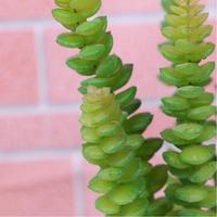 Planta Tropical Artificial de PVC Ecológica de Alta Simulación con Tacto Real para Decoración del Hogar, Uso en Interiores y Exteriores