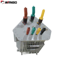 Transformator Daya Terendam Minyak Wanbo-106 200-800kVA Topologi Boost Inti Ferit Kumparan Aluminium 10/11/15/20kV 400/415V Tiga Fasa