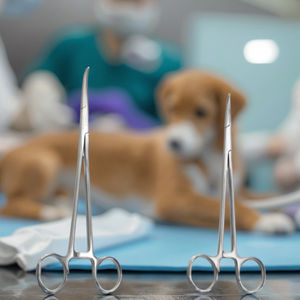 คีมผ่าตัดแยกหลอดเลือดสแตนเลส CJH Medical - เครื่องมือผ่าตัดสัตวแพทย์แบบใช้ซ้ำได้สำหรับสัตว์ขนาดใหญ่ - Product Image 4