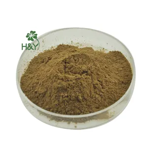 Healthway Supply High quality pure astragalus root extract powder Astragalus Extract 10:1