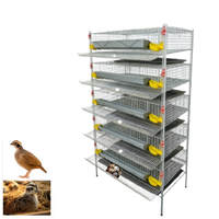 Cage d'élevage de cailles multi-niveaux de qualité supérieure, équipement avicole de qualité commerciale, approvisionnement direct