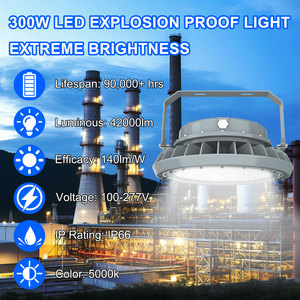 Iluminación para Áreas Peligrosas con 5 Años de Garantía, Aleación de Aluminio, Clasificación de Protección IP66, Lámpara LED a Prueba de Explosiones de 300W - Product Image 2