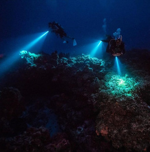 Siêu sáng P20 bấc mini xách tay đánh giá chuyên nghiệp lặn ánh sáng với tay dây lặn dẫn đèn pin - Product Image 2