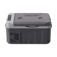 Mini-réfrigérateur portable moderne de 9 L à grande capacité, 12 V/24 V, avec compresseur DC à zone unique pour le stockage alimentaire et le camping en voiture