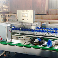 Rotatieband weegsorteermachine voor fruit, geschikt voor kersen, bosbessen, kiwi's, appels, granaatappels en zeevruchten.