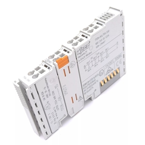 Módulo de E/S W a O Serie 750, 240V/110V/220V 0.5A, Módulo PLC de Salida Digital de 8 Canales con Comunicación RS485 - Product Image 1