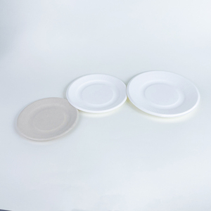 Assiette ronde blanche compostable à 3 compartiments de 9 pouces en bagasse de canne à sucre, écologique et biodégradable - Product Image 3