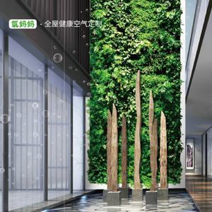 Jardín Interior de Diseño Moderno para Decoración del Hogar y la Oficina, Kit de Jardín Vertical para Pared, Venta Directa de Fábrica - Product Image 4