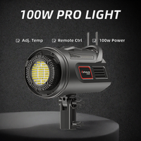 100W professionnel continu LED photographie lumière Audio vidéo Studio équipement d'éclairage pour Softbox éclairage photographique