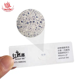 Tế bào động vật phân bào ascaris equis tử cung Crosscut phân chia tế bào Slide di truyền học kính hiển vi sinh học Slide - Product Image 2