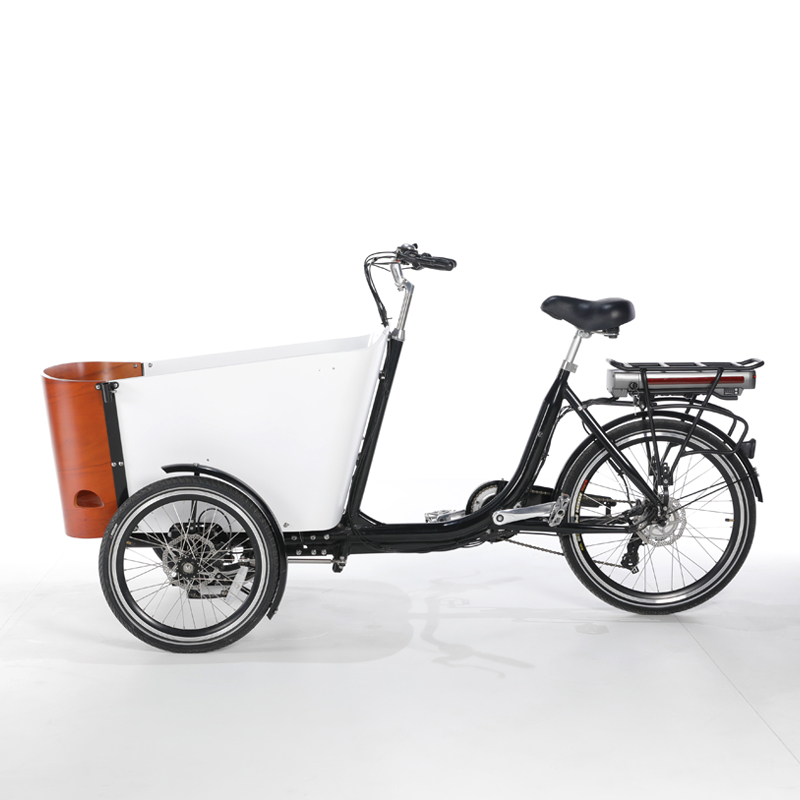 大人用ペダル三輪車3輪カーゴバイクファミリー6ギアスピード