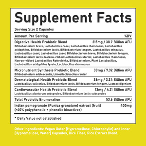 Capsules Synbiotiques Quotidiennes Directes d'Usine : Aide à Nourrir, Réapprovisionner la Flore Intestinale Saine, Stimuler l'Absorption des Nutriments, Soutenir le Système Immunitaire - Product Image 2
