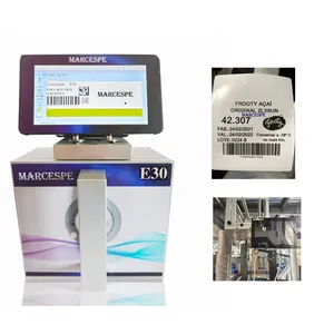 Marcespe TTO E30 LH 450 times 32mm Thermal Transfer Overprinter for printing date 7inch screen tto for UDI CODE DM CODE