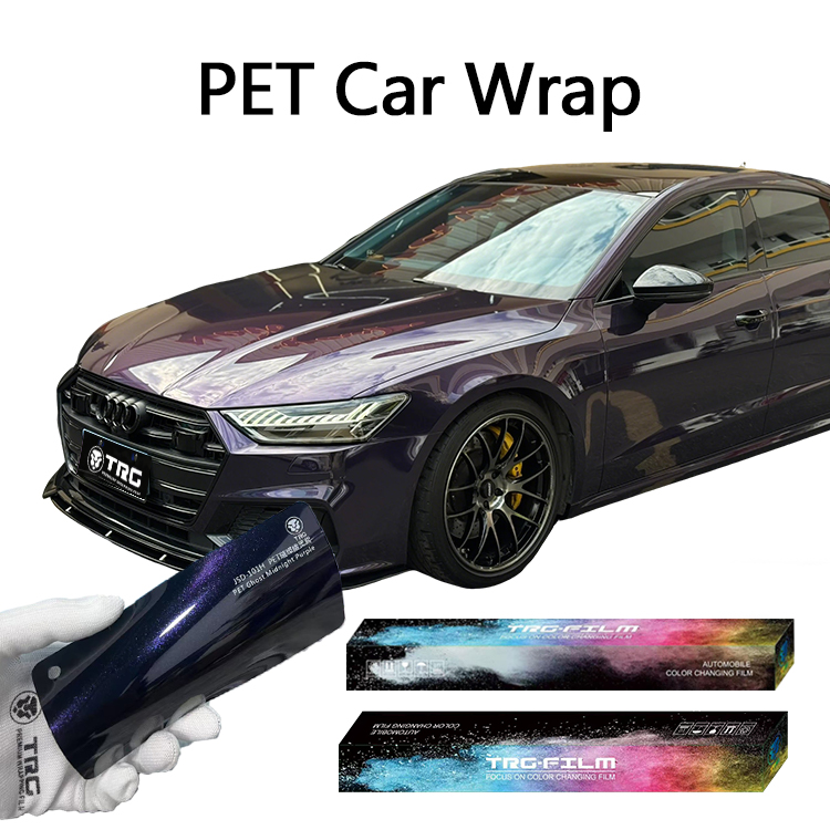 PET Sparkling Midnight Purple