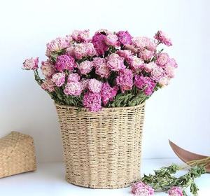 Ramo de Flores Secas de Peonía Moutan Natural Preservada de Fábrica de Yunnan para Decoración Boho de San Valentín, Bodas, Hogar y Navidad - Product Image 2