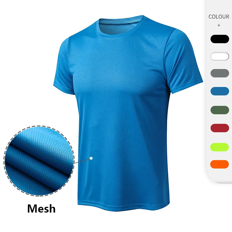 Sports High quality mesh polyester adult Custom breathable fitness body building short sleeve sports men tshirts