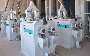 Rollo de <span class=keywords><strong>piedra</strong></span> de <span class=keywords><strong>esmeril</strong></span> de <span class=keywords><strong>doble</strong></span> rodillo para blanqueador de arroz 5-7T por hora Cojinete de componente de núcleo para planta de fabricación - Product Image 6