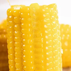 Mazorca de maíz hirviendo no Gmo, bocadillo al por mayor, comida de maíz dulce amarillo no glutinoso