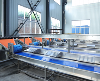 Heetverkopende, hoog-efficiënte industriële automatische sorteermachine voor fruit