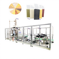 Machine d'emballage automatique de formage, de remplissage et de scellage de sacs sous vide pour la poudre de café, la levure, la farine au prix d'usine