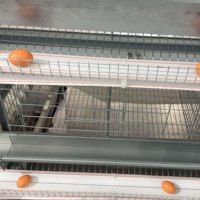 Bande transporteuse souple pour la collecte des œufs, épaisseur 1,8 mm, pour fermes avicoles commerciales