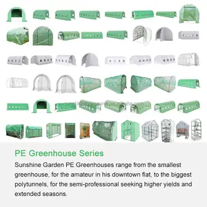 Outdoor Portable Greenhouse Mini Walk-in Plastic Cover Steel Frame Pe Mini Growing Greenhouse Green House Plastic