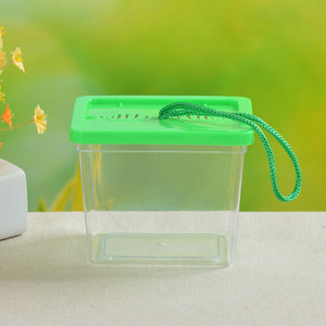 真新しい正方形プラスチック製ポータブル小型水槽ロープ付き魚の虫箱水生動物水族館アクセサリー - Product Image 3