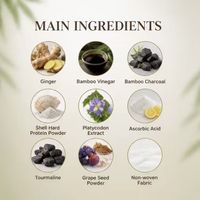 Patchs Adhésifs Médicaux Personnalisables au Gingembre Naturel et au Bambou, Hypoallergéniques, Détoxifiants Style Ancien Pékin pour Soin Corporel, Aide au Sommeil et Usage Domestique