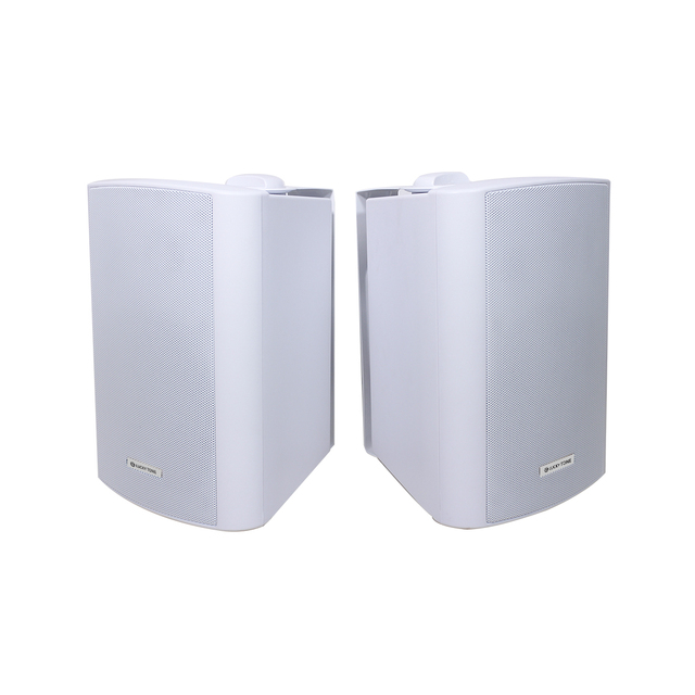 Indoor Outdoor ABS TWS Blue-tooth 6 Inch 30W Two Way Wall Speaker for Smart Audio Playback