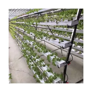 Aquaponic büyüyen sistemi kapalı NFT topraksız sistem PVC kanal