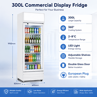 Réfrigérateur vertical mince pour boissons, 300 litres, vitrine réfrigérée avec éclairage supérieur et étagères réglables pour bar et magasin