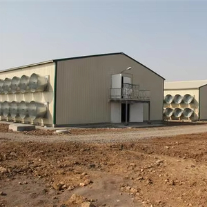 Gabbia di allevamento di pollo/strato uovo gabbia di pollo/pollaio Design pollaio automatico gabbia di pollame batteria di pollo bianco - Product Image 5