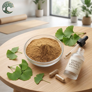 Estratto di Ginkgo Biloba di Alta Qualità, Integratore a Base di Erbe, 24% Flavonoidi, 6% Lactone in Polvere, Coltivazione Artificiale Garantita - Product Image 3