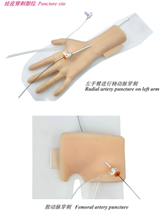 Simulateur <span class=keywords><strong>de</strong></span> formation en intervention coronaire percutée avec cœur battant pour <span class=keywords><strong>la</strong></span> formation aux procédures interventionnelles cardiovasculaires - Product Image 4