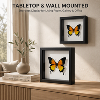 Cadre de présentation 3D carré de 5,7x5,7 po avec verre véritable, pour table et mur, pour spécimens, vente en gros