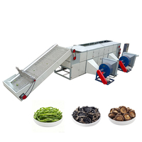 Machine de séchage industrielle à bande maillée contrôlée par PLC pour graines, algues, oignons, dattes, noix de coco - Traitement alimentaire à haute efficacité