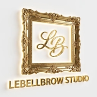 Lettres en relief en acier inoxydable 3D, rétroéclairées numériquement, pour l'extérieur ou l'intérieur, logo personnalisé éclairé par LED, enseigne rétroéclairée